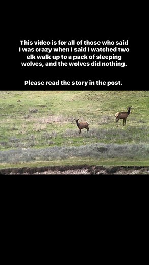 13K views · 434 reactions | This particular evening started with...