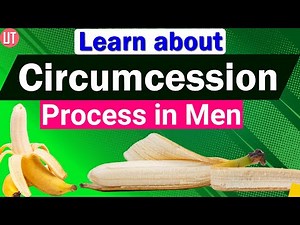 Circumcision | Male Circumcision Procedure | Biology