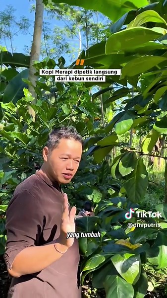 Toko Kopi Terbaik di Yogyakarta untuk Pecinta Kopi