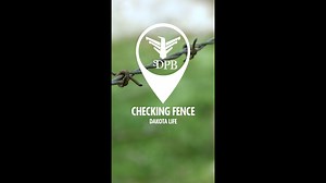 179 reactions · 60 shares | Let's go check some fence line in northeast South Dakota with Parker and Kellynn. | SDPB | Facebook
