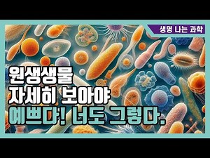 원생생물 관찰하기