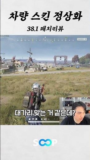 Vehicle skin normalization