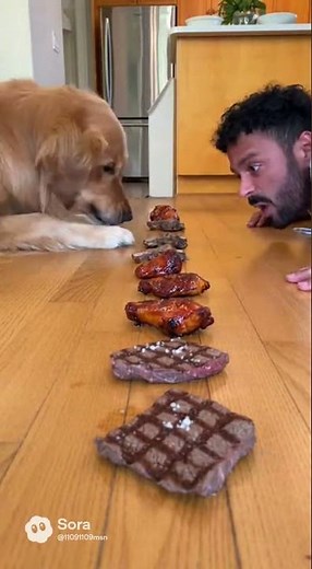 “Grilled Meat Eating Contest with My Dog! 🐶🍖🔥” #funny #sora2 #aivideo #aishorts