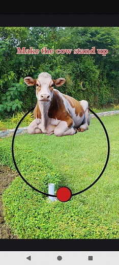 Make the cow stand up if you can 🔥🐂 #reels #viral #trending #funny #Amazing #cow #cows | Jasmin 1.0