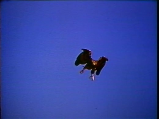 1985 VHS • Audubon Society's VideoGuide to Birds of North America Vol 1 60 FPS