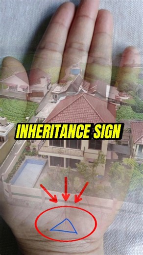 Triangle palm sign indicating a person's assets #palmistry