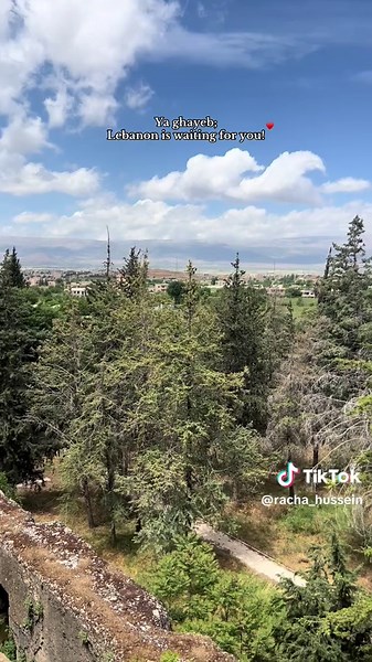 🥹♥️ #foryoupage #asmr #lebanon🇱🇧 #memoriesbringback #creatorsearchinsights