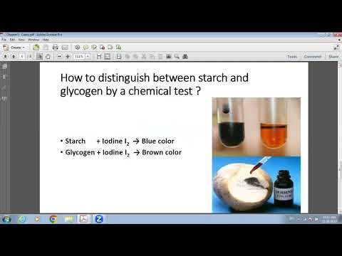 Ludvik's Chemistry Classroom- Carbohydrates -(part 2) Polysaccharides