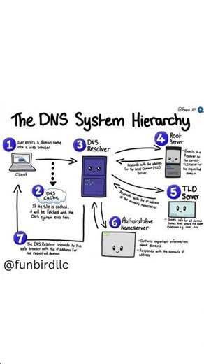 The DNS System Hierarchy 🌐🔗