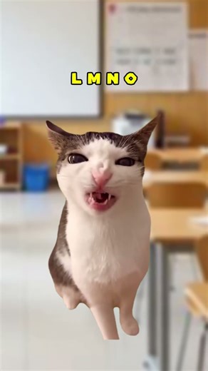 H 2 O 😭 (CAT VERSION🐈) ‪@rexxi.7‬ #shorts