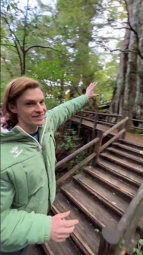 世界自然遺産 屋久島 #ショート