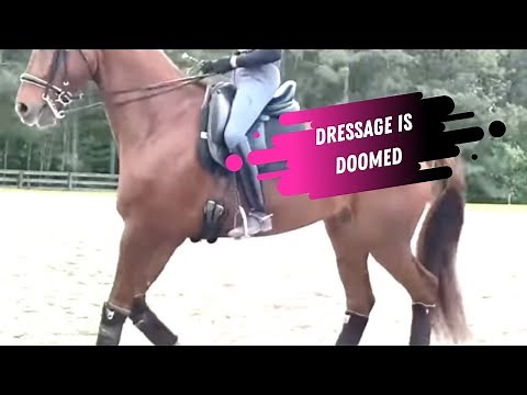 Dressage Is Doomed! Worst Dressage Lesson Ever With Olympian Jacqueline Brooks