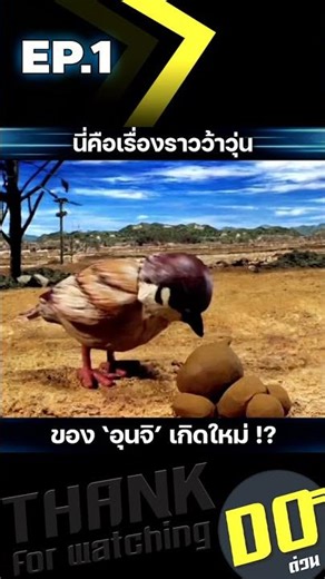 EP.1 This is the chaotic story of a reborn poop.