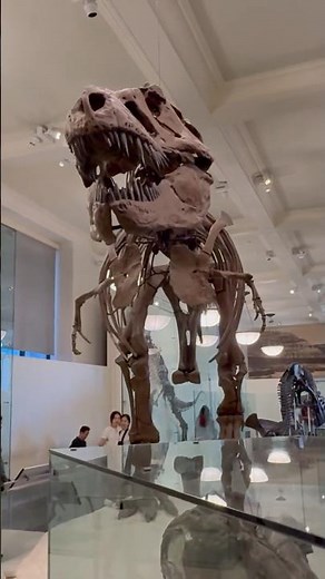 Famous T-rex fossil at NYC’s Natural History Museum #shorts #tyrannosaurusrex