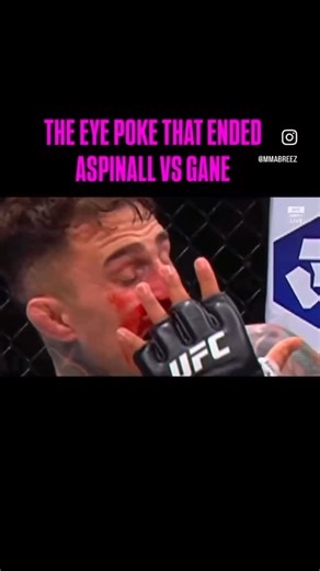  Did you SEE this UFC fight…and its now infamous double eye poke...