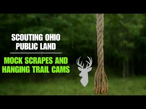 Scouting Ohio Public Land | Mock Scrapes & Trail Camera Setup