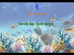 Corals Life Cycle - Song (IGCSE MARINE SCIENCE)
