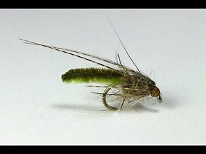 Jyhis - chenille caddis pupae