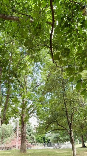 13K views · 783 reactions |  À Saint-Étienne, le bonheur se cache dans les choses simples.  Lire un bon bouquin sous un arbre. Et vous, c’est quoi votre p’tit bonheur à Sainté ? #saintetienne | Ville de Saint-Étienne | Facebook