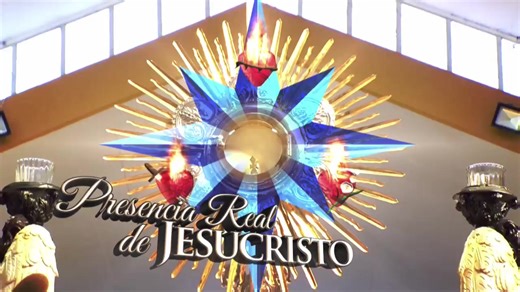 SANTA MISA | Desde el Santuario Nacional de Nuestra Señora de la Caridad, Miami, Florida, USA. Fecha de transmisión: 09 de Febrero del 2026 MARÍA VISIÓN ®, M V MARÍA VISIÓN ® MARÍA VISIÓN LUZ CATÓLICA ® LUZ CATÓLICA ® TONANTILI ® "SINFONÍA CELESTIAL MARÍA VISIÓN" ® MARÍA MISIÓN® LOGOS Y DISEÑOS, PROGRAMAS DE RADIO Y TELEVISIÓN, SON OBRAS PROTEGIDAS D.R. © MARCAS Y DISEÑOS REGISTRADOS® LICENCIADOS A DIVERSAS PERSONAS JURÍDICAS EN MÉXICO Y A NIVEL INTERNACIONAL MÉXICO. 2001-2026 TODOS LOS DERECHOS