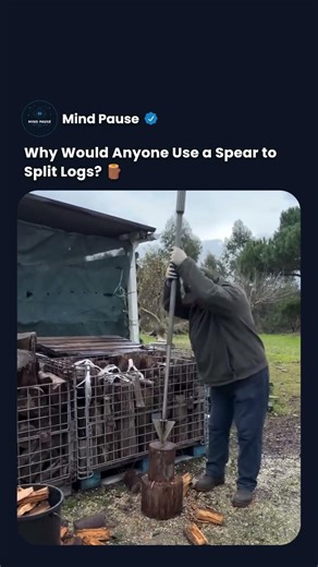 The Spear Splits Wood Better Than Everything Else #logsplitter #hack #genius