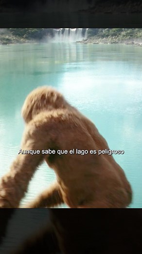 A pesar de saber que el lago escondía un peligro mortal, el pelirrojo intentó deliberadamente que Kong bajara la guardia.#tiktok #movie #fyp