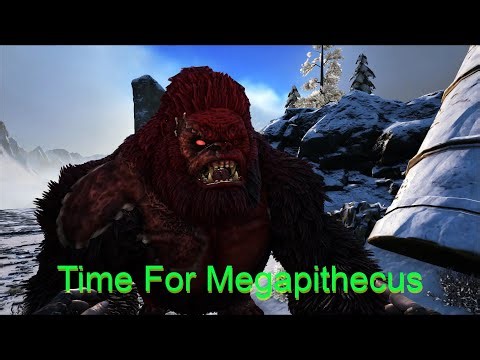 Time To Fight The Megapithecus |Ark Survival Ascended