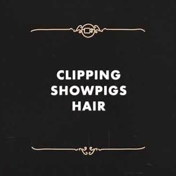 Clipping Show Pigs