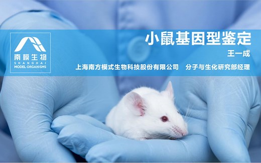 老司机带路，手把手教你做基因型鉴定