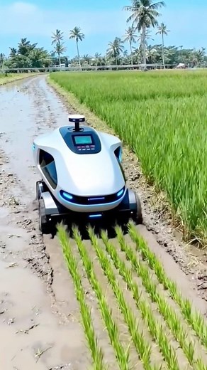 Naya machine bajar mein aaya hai #reels #fyp #Amazing #trending #viral #machine #love #trend #reel #Shahnawaz | Shahnawaz Offical