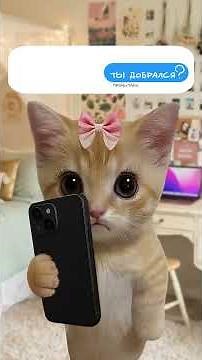 What is ghosting? The kitties explain 😻