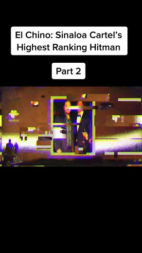 Guns n Gangs on TikTok