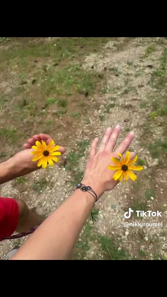 Exploring Therapy Sessions with Nikki Roumel