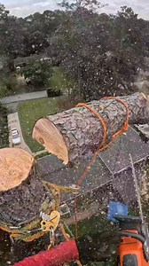 🔥☘️🍃 #treeworker #arboleros #treeworks #treeservice #treeremoval #arborist #treeclimber #climbing #climber #rigging #ropework #escaladores #trabajoenalturas | Elías Jer