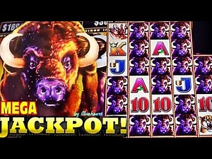 ★CRAZY WINS JACKPOTS!!!★ BEST of BUFFALO STAMPEDE slot machine WINS!