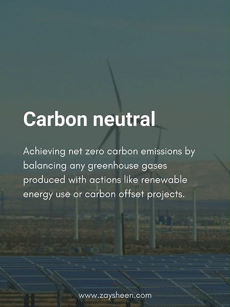 ZÁY SHEEN: La Moda Sostenible y Carbono Neutro