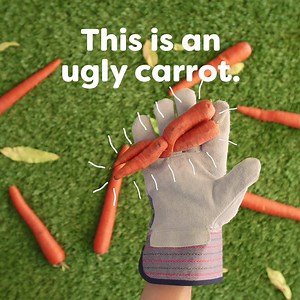 7.5M views · 81 reactions | Hello, Baltimore! Imperfect is offering Baltimore residents 50% off your first box of produce with promo code FBHIBWI. Each box is fully customizable, delivered to your door, and a bite out of food waste. Pre-order today! | Imperfect Foods | Facebook