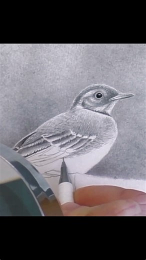 ✏️How to Draw Feather textures in 30 Seconds #drawing #art #sketch #howtodraw #pencildrawing