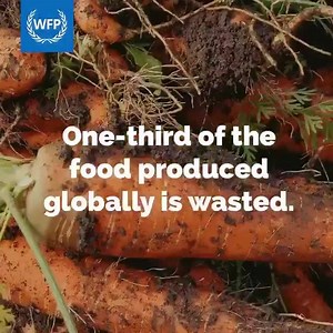 7.3K views · 125 reactions | The world produces enough food to feed...