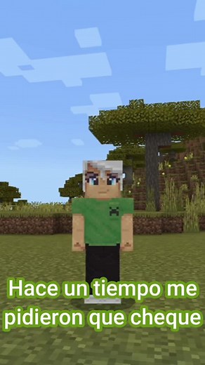 Jugando en los SERVIDORES de Minecraft: ¡una experiencia única!