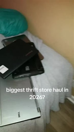 Windows7dog :3 🐉🐬🐉 (@windows.7dog)’s video of thrifted