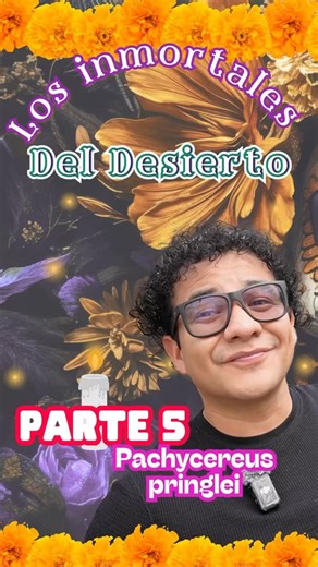 45 reactions · 4 comments | El cactus más alto del mundo… ¡y puede...