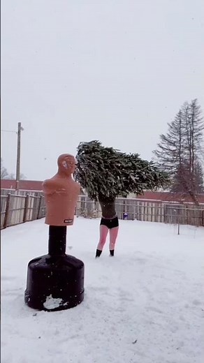 Bob Christmas tree compilation