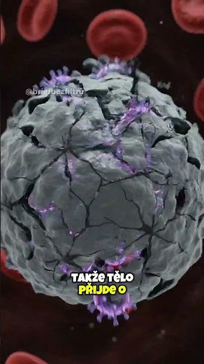 Jak vznikla Ebola a proč ji dodnes nedokážeme úplně zastavit 🦠