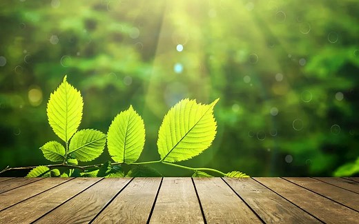 arlequin软件进行分子方差分析（AMOVA）