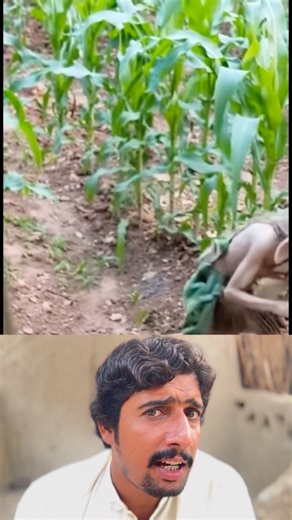 Herry Potter series character dobaqi | Tahir Reaction 2.0