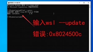 wsl --update，错误：0x8024500c，wsl无法升级，无法安装适用于linux的windows子系统，docker