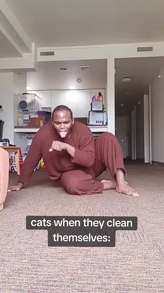 Cats Cleaning Themselves: Adorable Moments