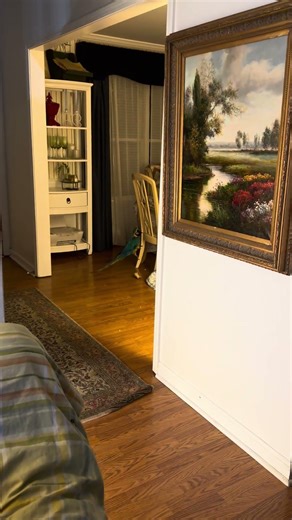 ZZ looking for Justyne