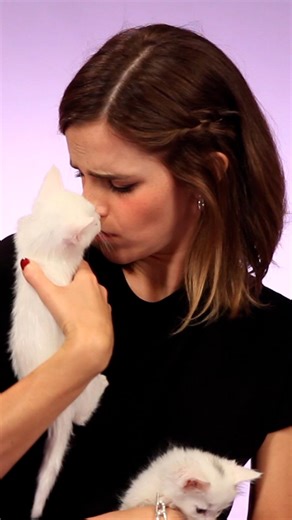 Emma Watson Plays With Kittens